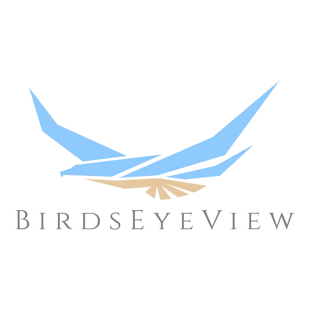 BirdsEyeView