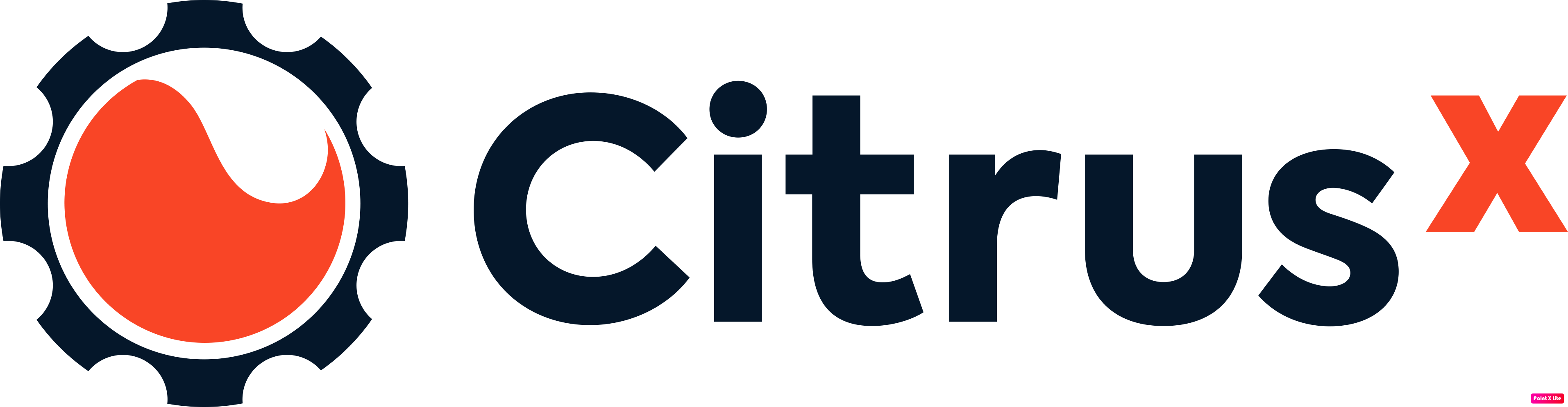 Citrus Logo