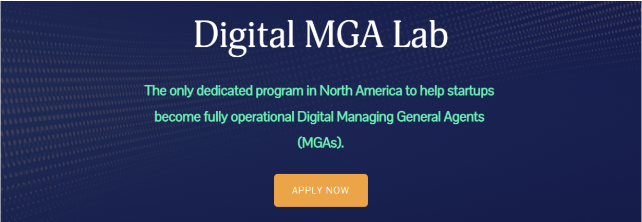 Digital MGA accelerator