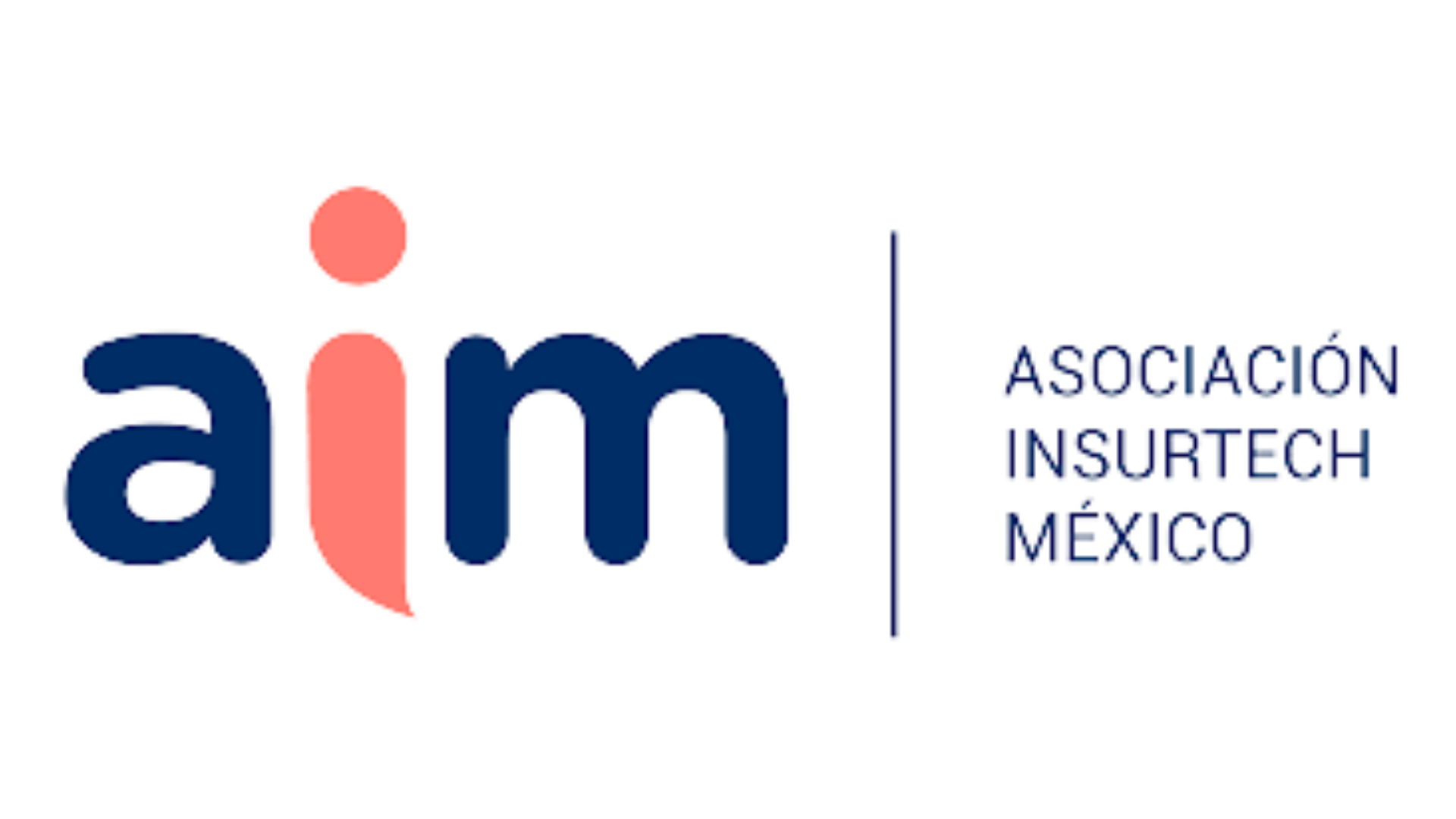 InsurTech Mexico Association