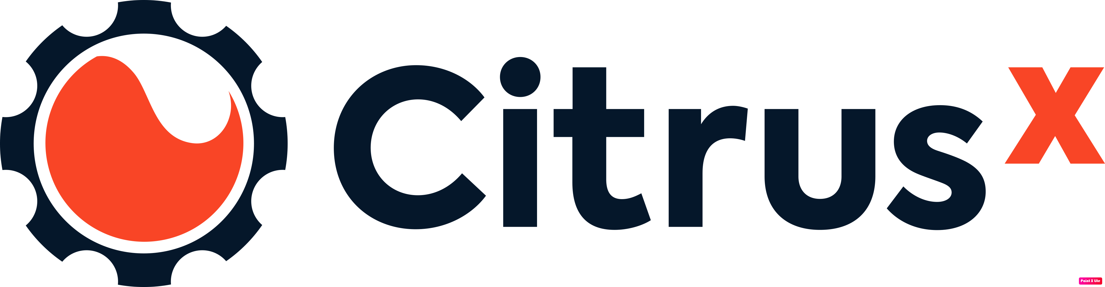 Citrus Logo
