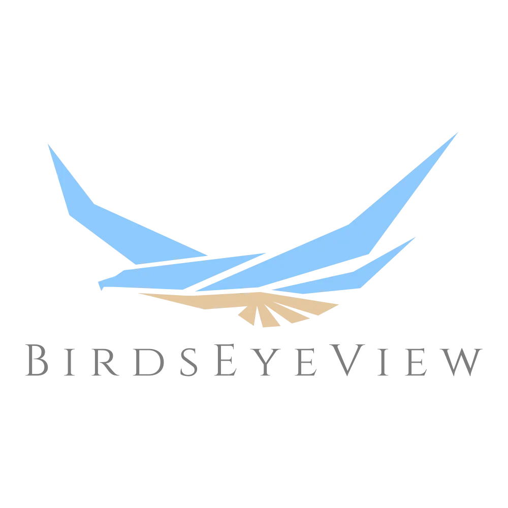 BirdsEyeView
