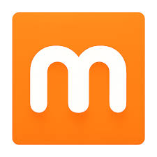 Mango Mousse AI logo